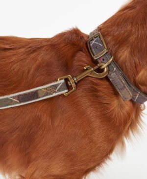 Reflective Tartan Dog Lead