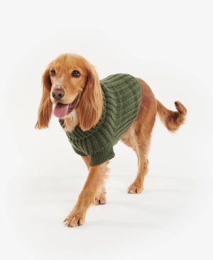 Saltburn Dog Jumper
