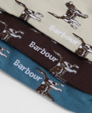 Pointer Dog Socks Gift Box